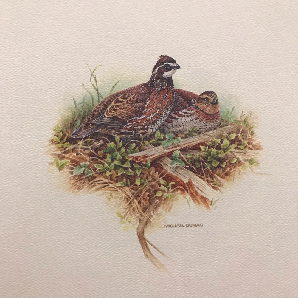 Michael Dumas Art Print